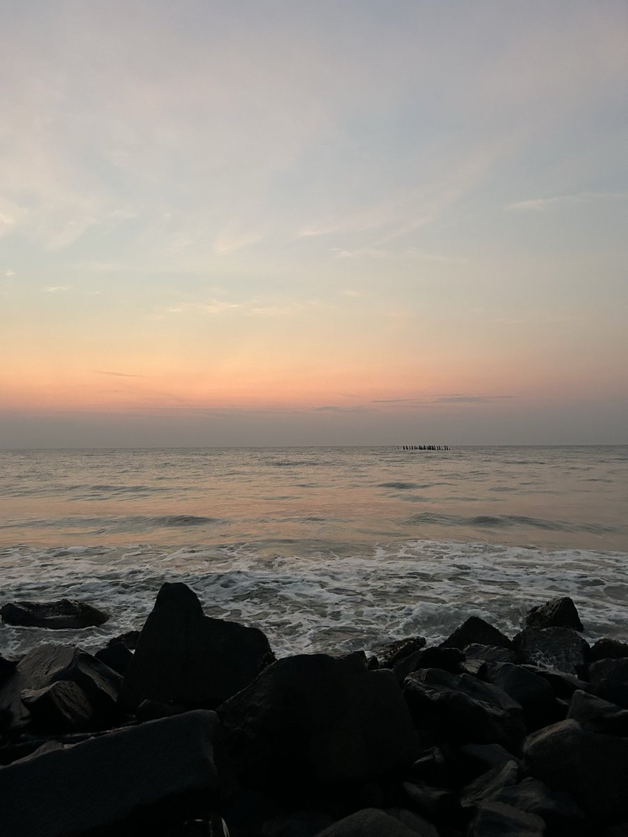 butterchick tweet media