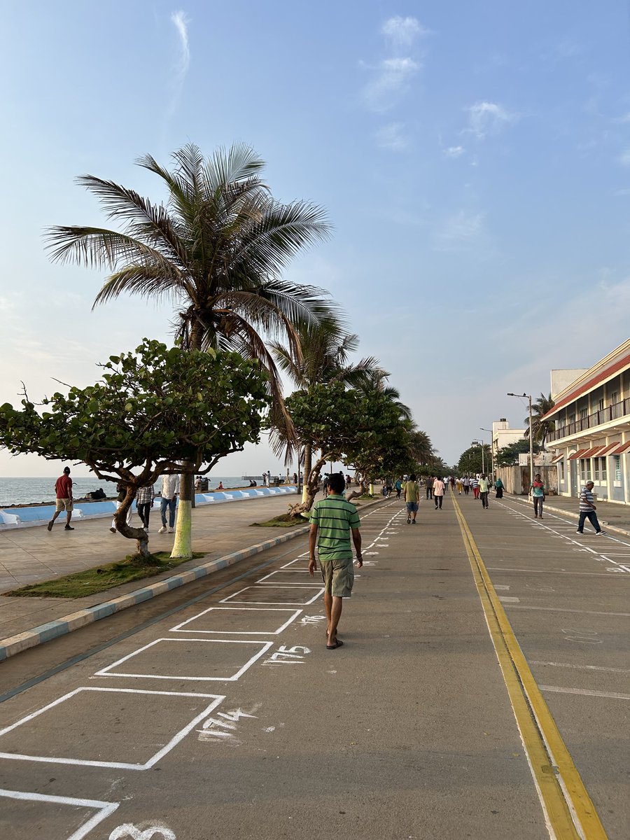 butterchick tweet media