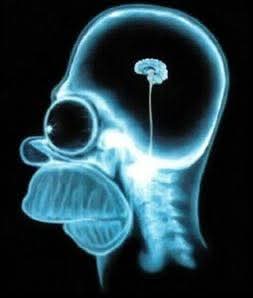 Cyndi Carter tweet media