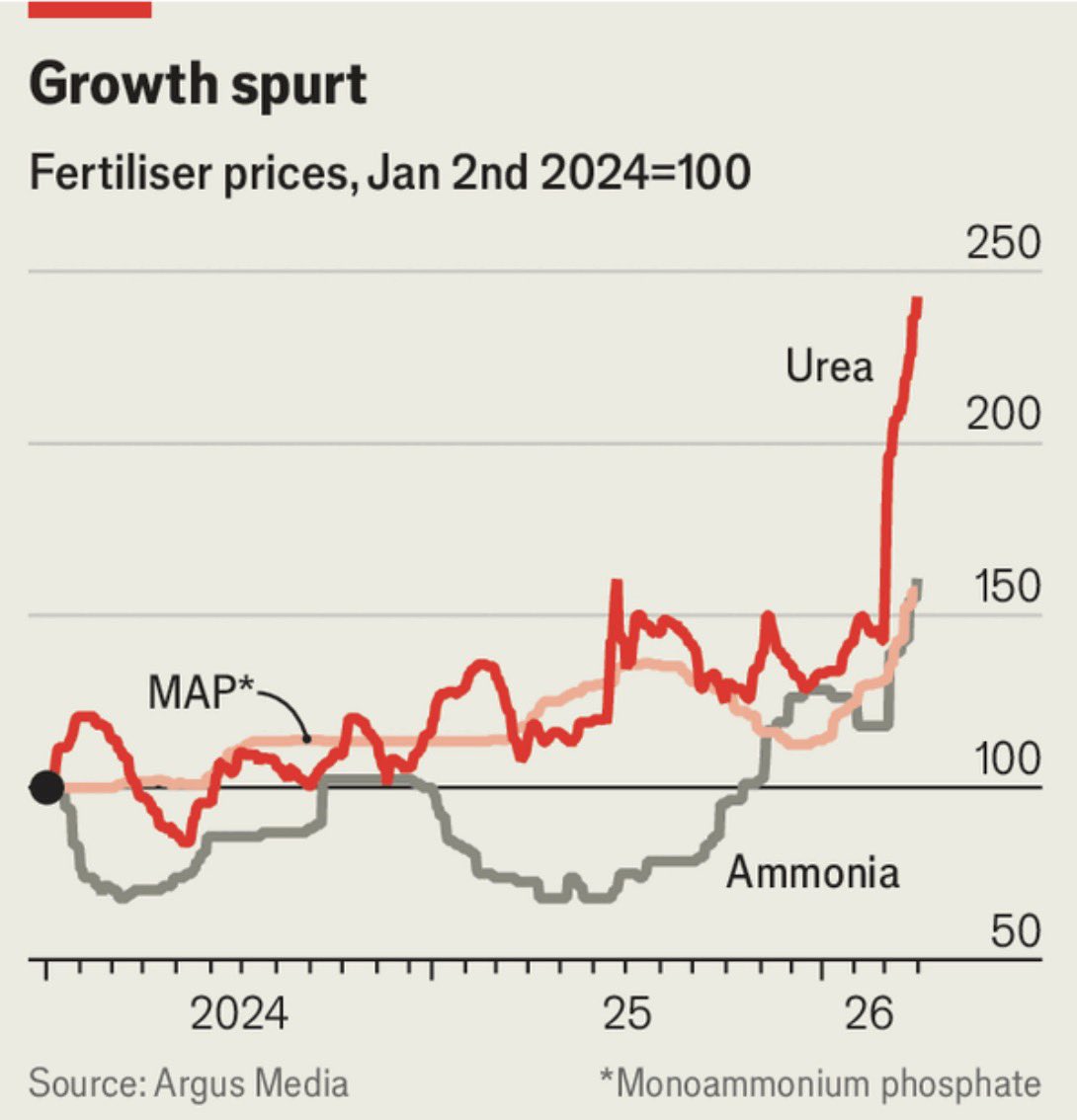 Wolf 🐺 tweet media