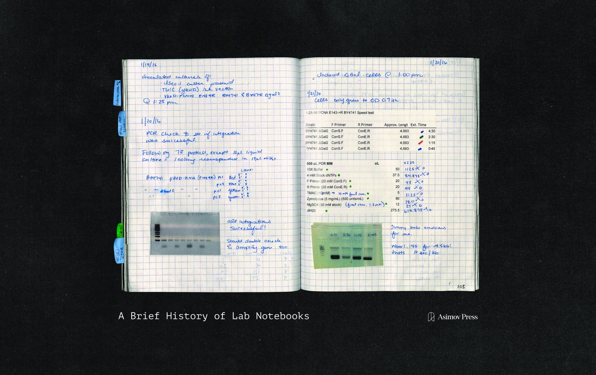 AsimovPress's tweet photo. A Brief History of Lab Notebooks

Early lab notebooks were little more than pocket diaries, where "thinkers" collected quotes from classical Latin authors. Newton's first notebook was adapted from his stepfather's commonplace book (filled with "excerpted scriptural commentary").. https://t.co/8eOWgMh2nL