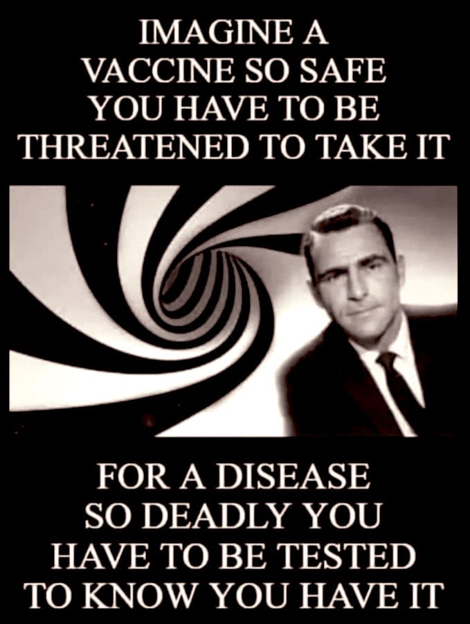 Codename: Simone Klarname 🇩🇪 🫂 🇺🇸 tweet media