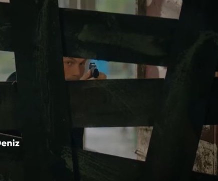 r yörük tweet media