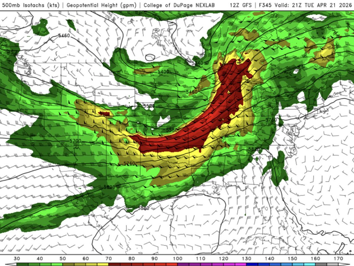 Carmen Palermo tweet media