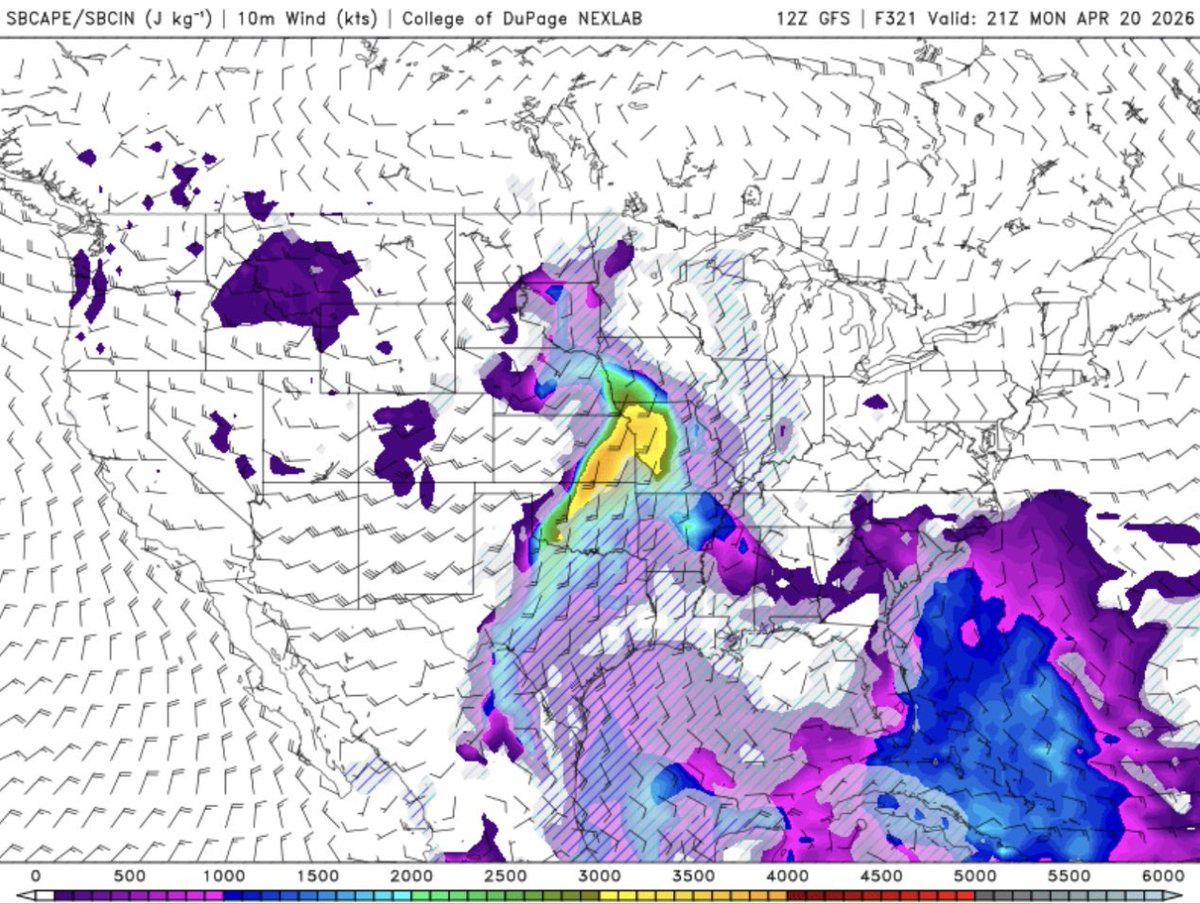 Carmen Palermo tweet media