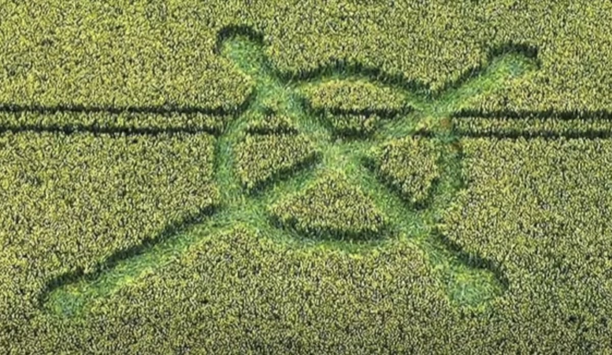 Extraterrestre tweet media