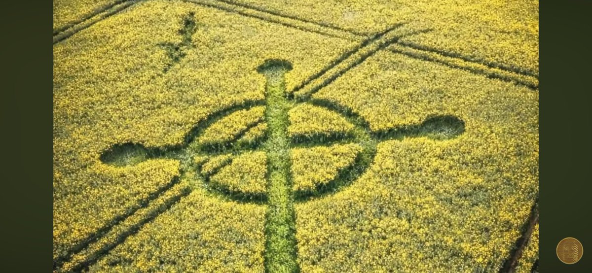 Extraterrestre tweet media