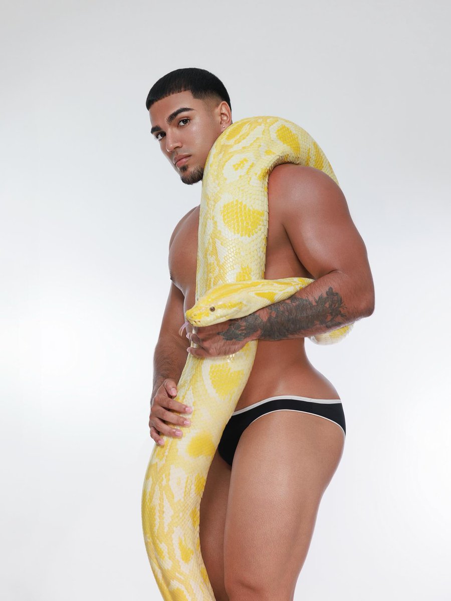 Leslie Zion holds a giant yellow python... 🤩 🔥 🐍
