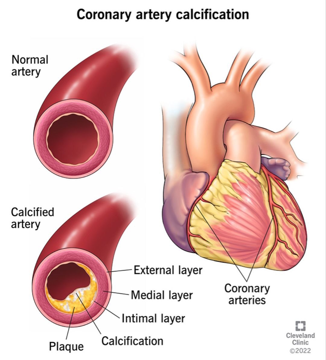 dr moza tahwara موزه بنت عبيد tweet media