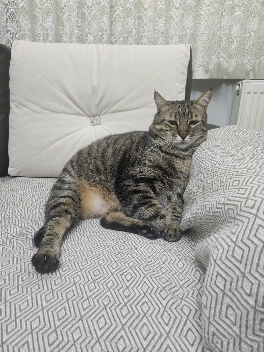 Hepinizi Döverim tweet media