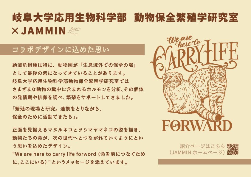 zooreplab's tweet photo. なんと😍那須どうぶつ王国で、JAMMINの繁殖研グッズ「ツシマヤマネコ＋マヌルネコ」取扱開始。王国とJAMMINのご配慮に深謝します😭　イラスト内にプロゲステロンの構造式が隠れています。糞を使って排卵や妊娠を調べる重要なホルモンの一つ。王国とは様々な動物で共同研究中。
https://t.co/rvsSr2wD48 https://t.co/JFKiokmgk7