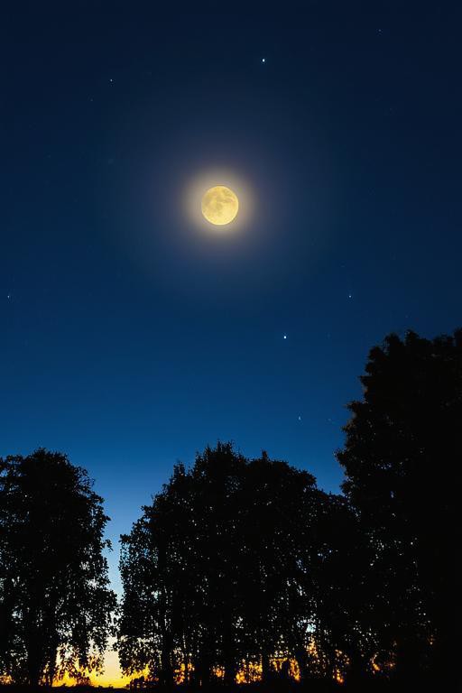 Christina Mullen tweet media