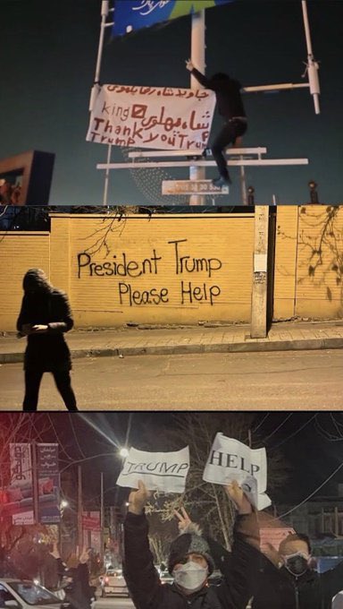 Mayra Yazdari tweet media