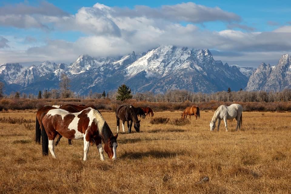 Jeff Smith tweet media