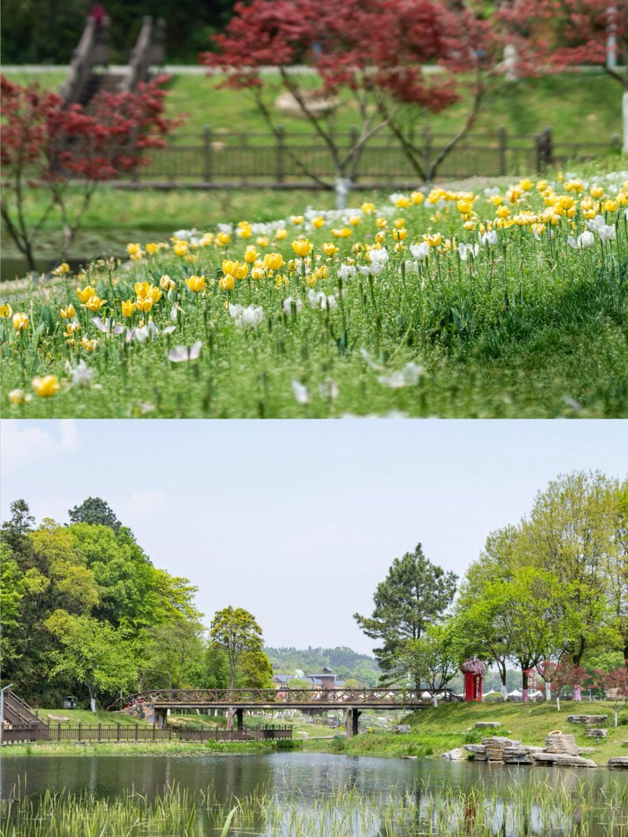 Muneera ABS tweet media