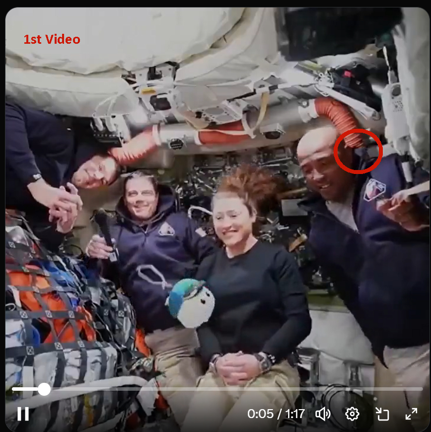 Auguste Calami tweet media