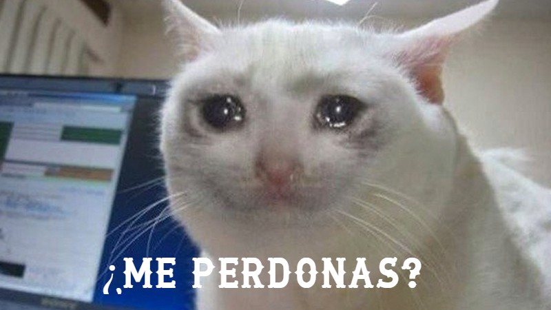 La Delphox táctica tweet media