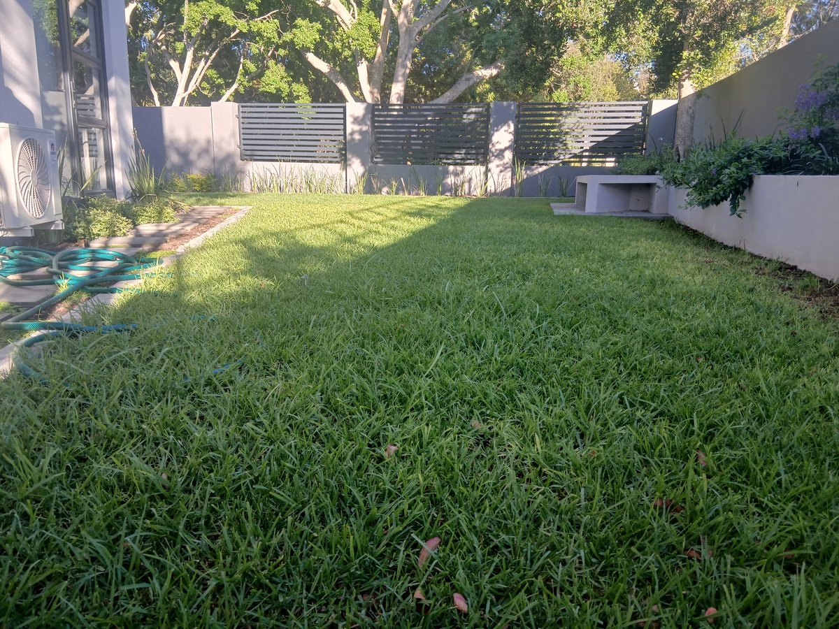 gardenmasters_'s tweet image. Eight months since installation and this space has transformed into a lush, private sanctuary. Proof that the right foundation makes all the difference. 🌿🏡
​#Landscaping #GreenLiving #ModernDesign #GardenGoals #Capetown #realestate