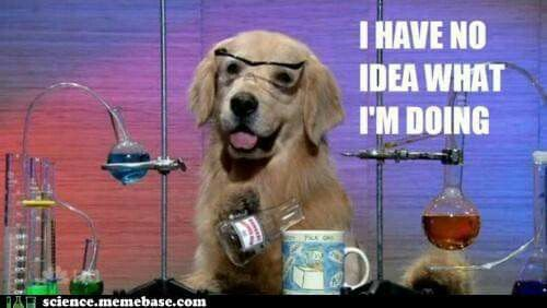 luisa 🪷 tweet media