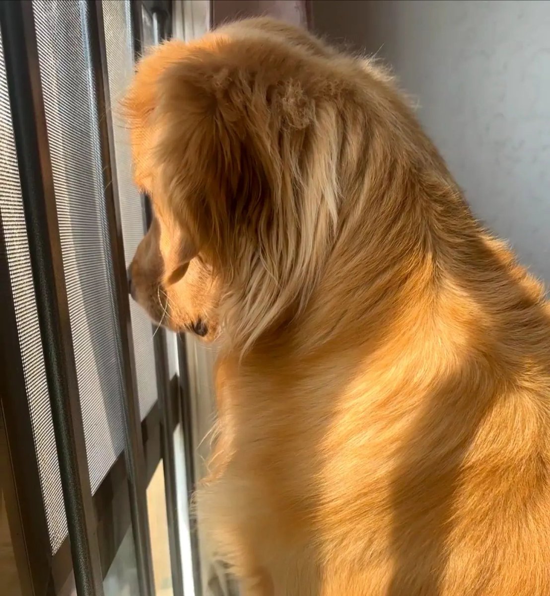 Erika  Rodriguez tweet media