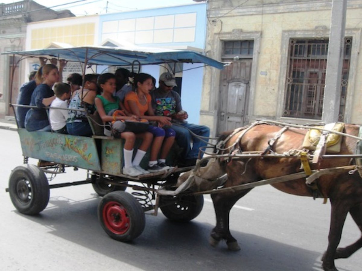 Fsuarez794@gm tweet media