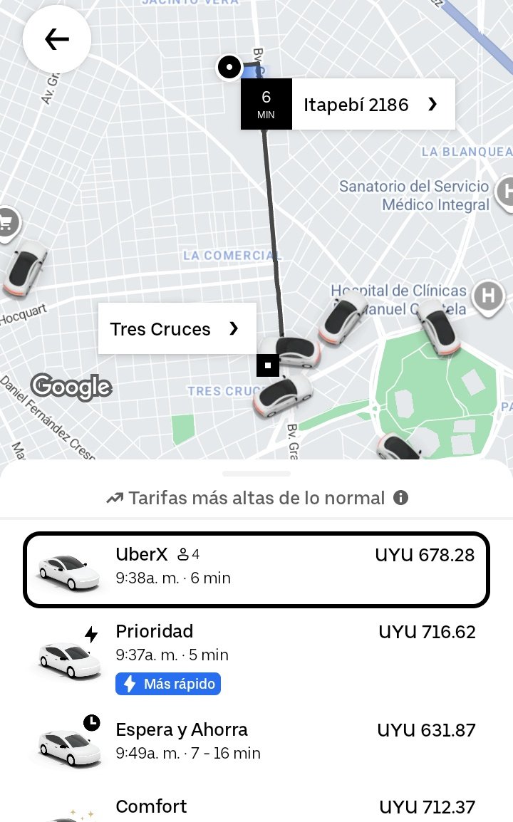 BarbaRodriguez tweet media