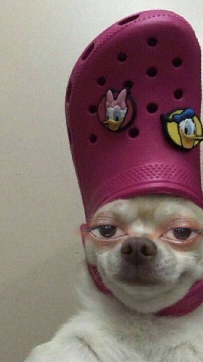 Sophia🩷 tweet media