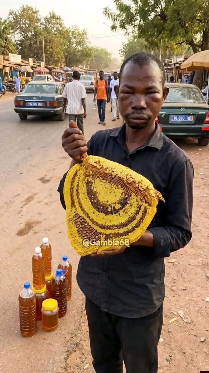 🐺🥋🇰🇷 tweet media