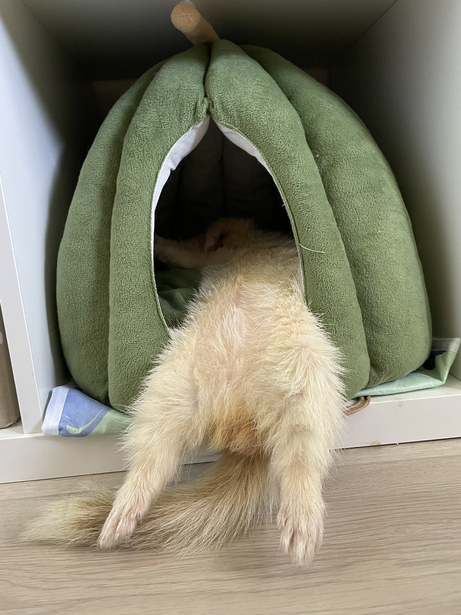 Extremaydura (ella) tweet media