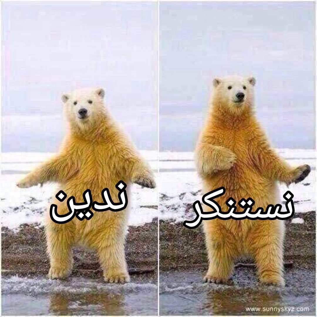 Sara Bouka tweet media