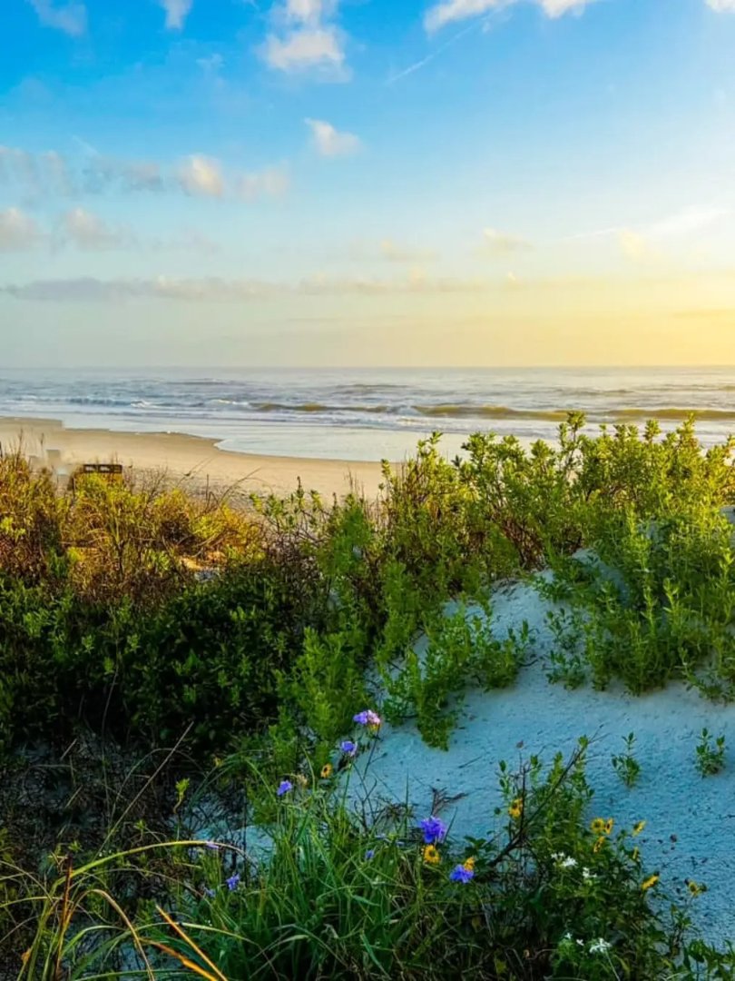 Flying Lizards tweet media