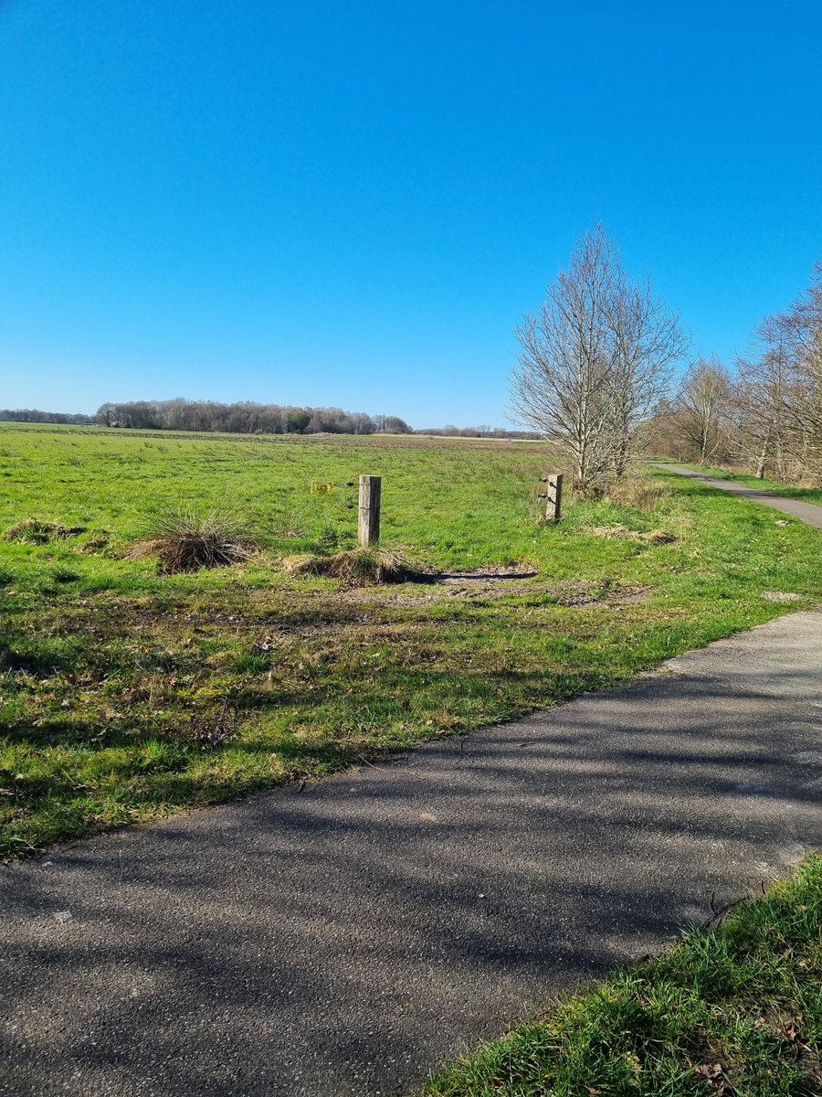 Yvonne1341002's tweet photo. Ben vanmiddag wezen fietsen. Fochteloerveen, erg mooi natuurgebied. Vergelijkbaar met de Onlanden Groningen maar minder water heb ik het idee... Erg van genoten. #Fochteloo https://t.co/bxeUbuQxiY