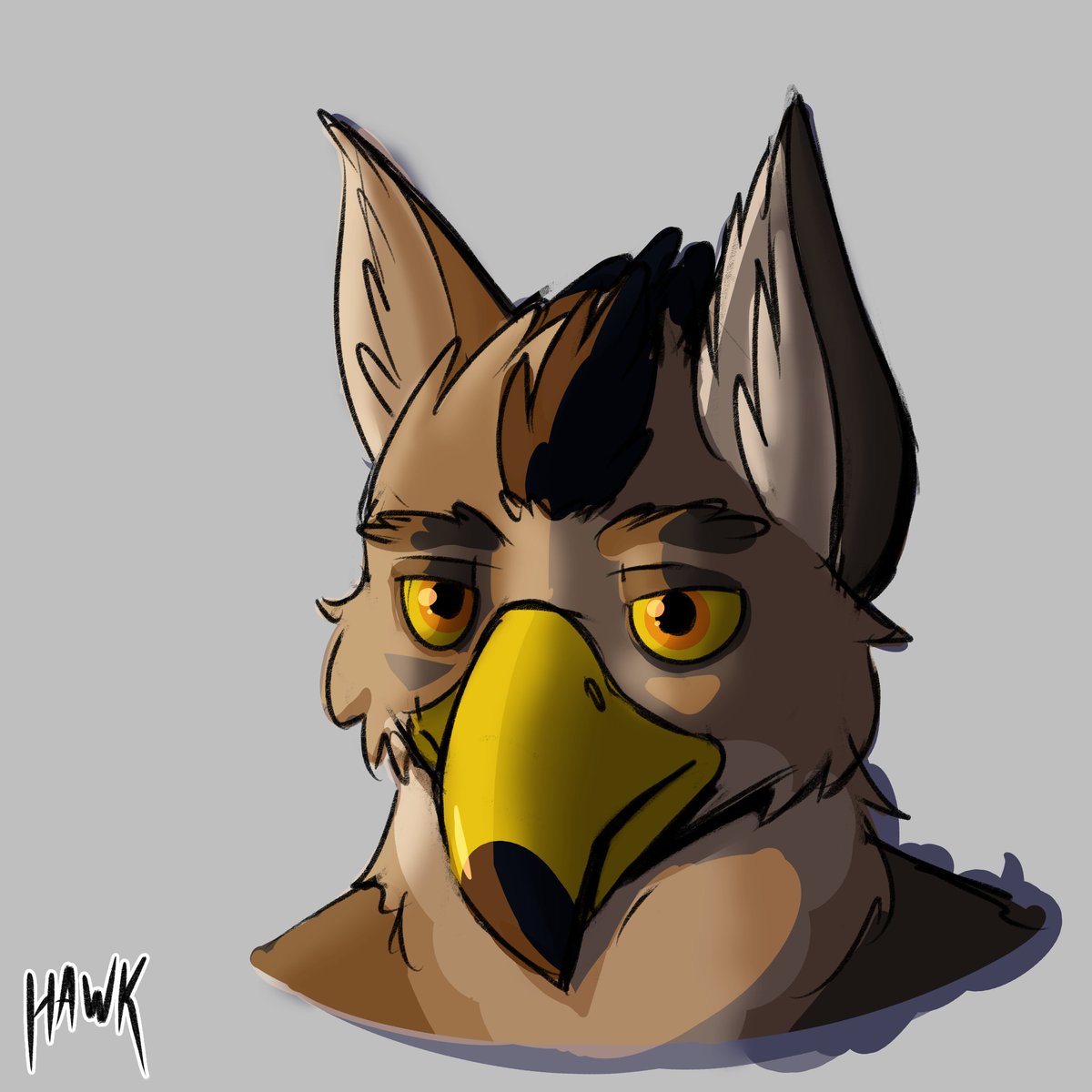 Hawk Leijon tweet media