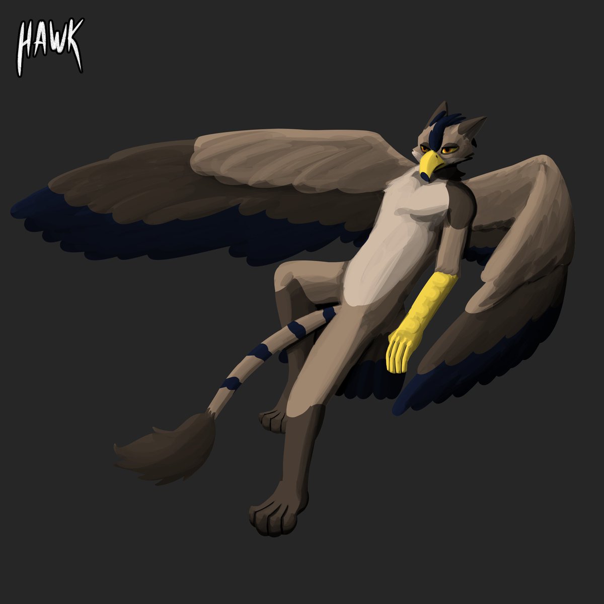 Hawk Leijon tweet media