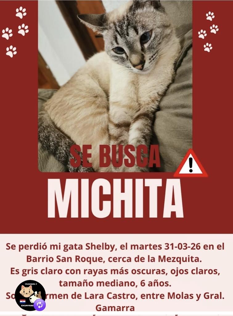 Maria Elena Ojeda tweet media