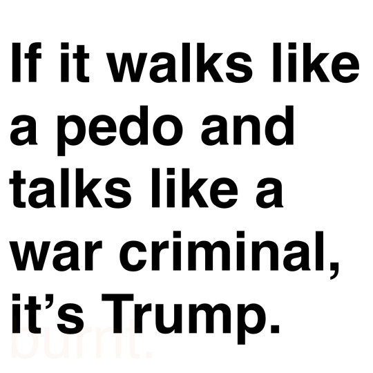 Brown Eyed Susan tweet media