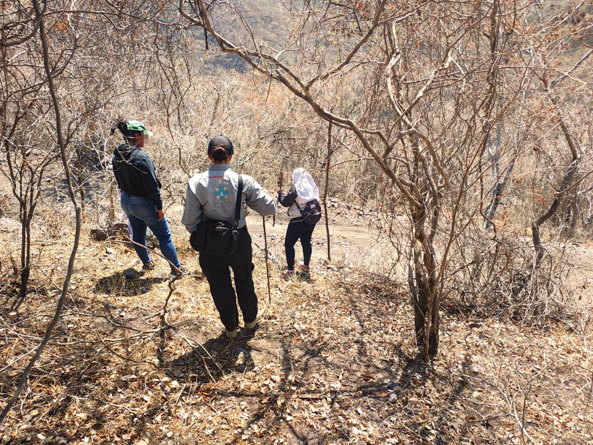 Comisión Nal. de Búsqueda Mx tweet media