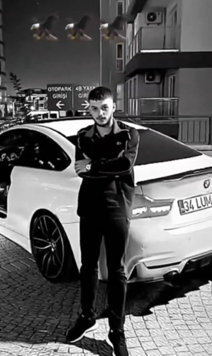 okansikkoparan tweet media