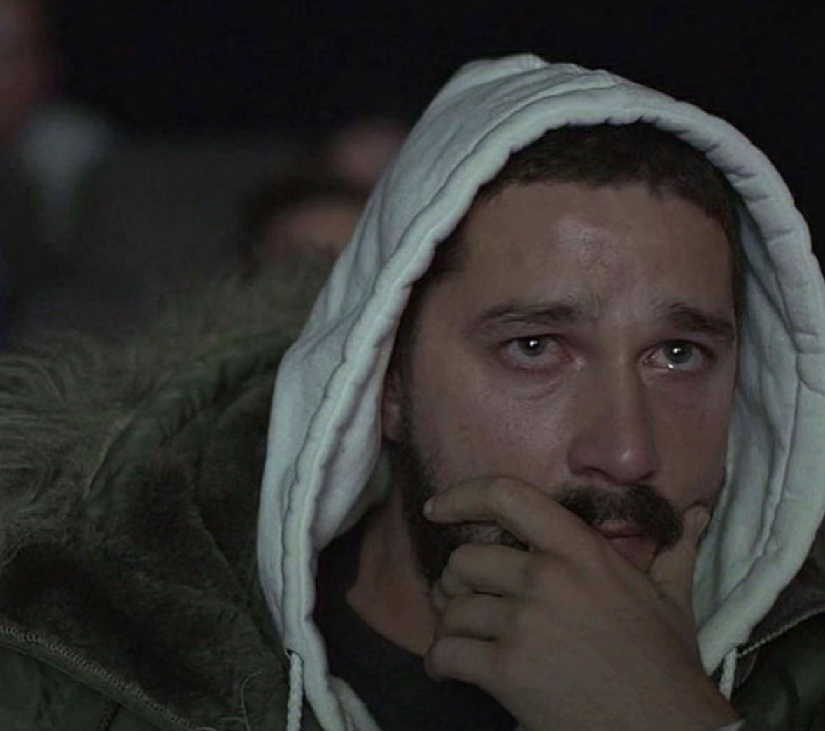 собачья королева tweet media