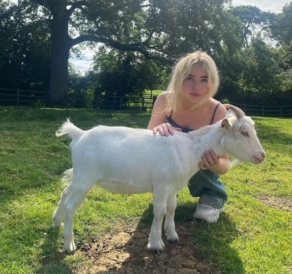 ItzCarlos tweet media