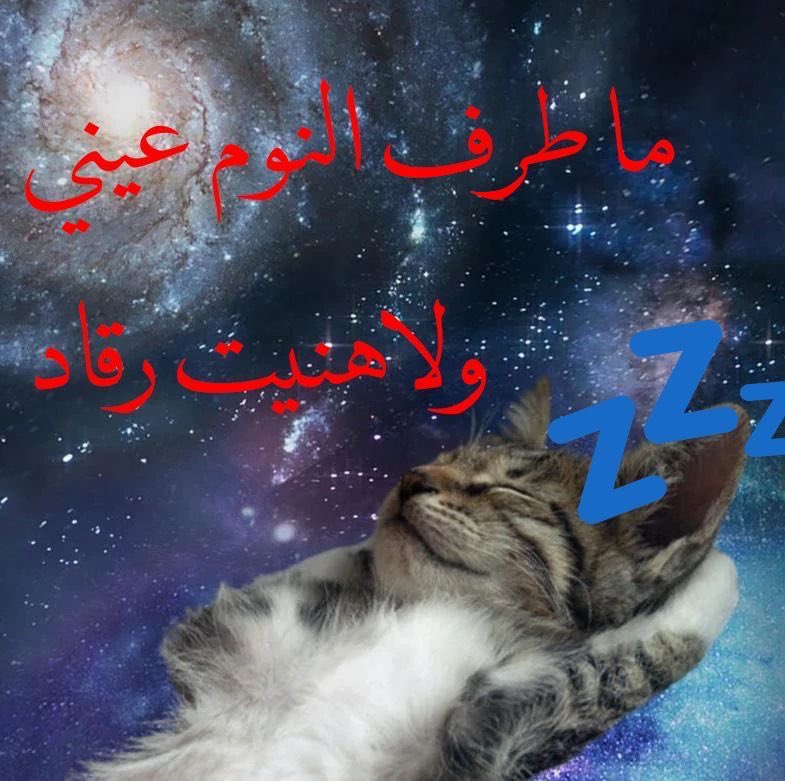 عباده tweet media