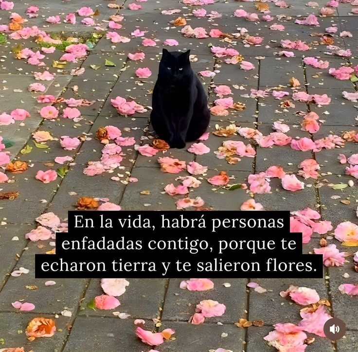 MeTooUDG tweet media