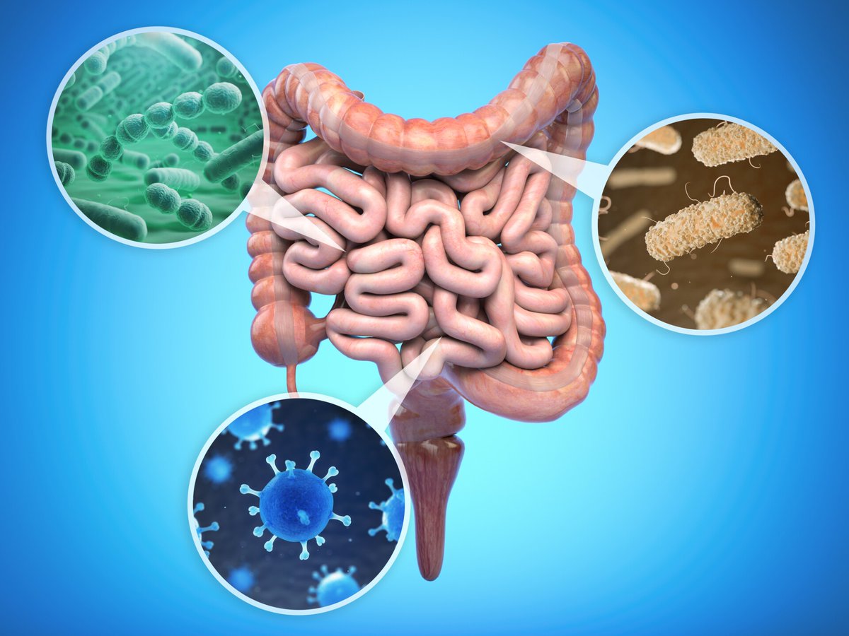 Ante la enfermedad inflamatoria intestinal: La vitamina D se asocia con buena respuesta inmunitaria al microbioma intestinal.
Nota completa 👇
acortar.link/Lc5cvc

#enfermedad #intestino #vitaminaD #Salud