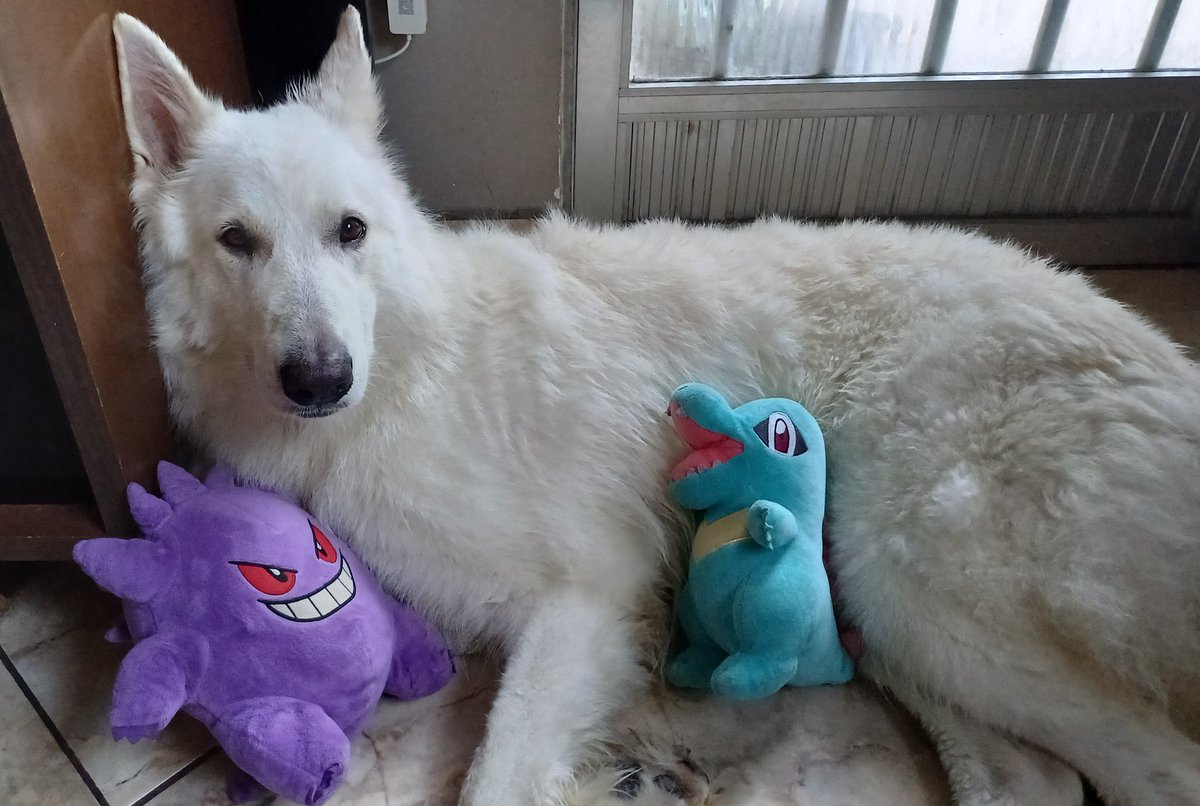 Shini ⋆˚𝜗𝜚˚⋆ tweet media