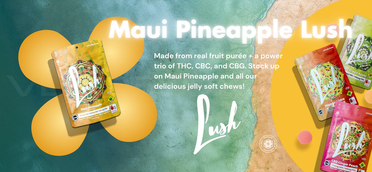 Verdelux | Sunnyland tweet media