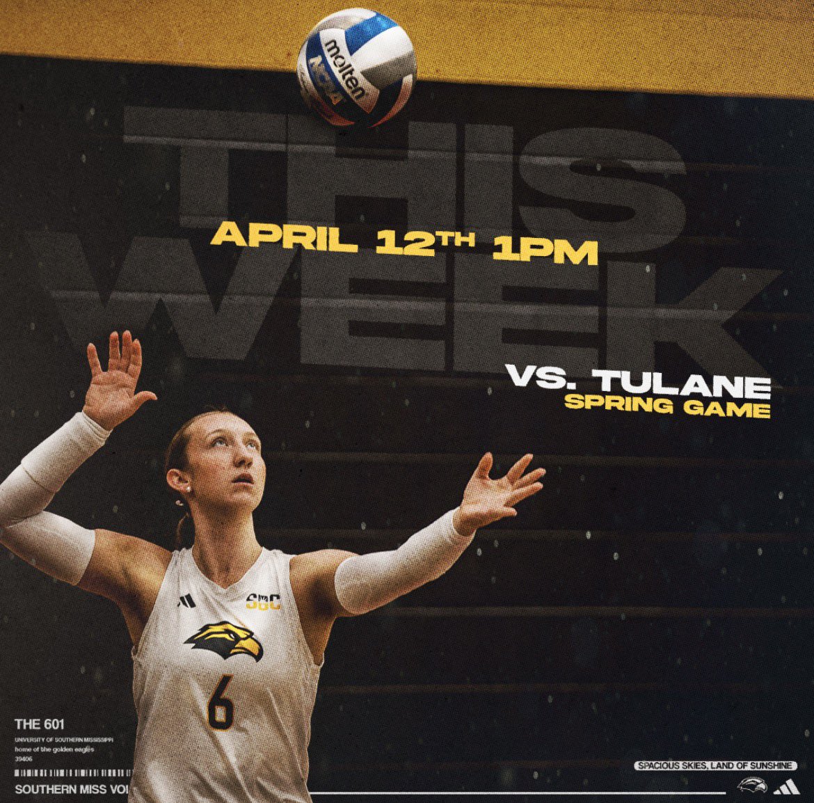 Southern Miss Volleyball tweet media