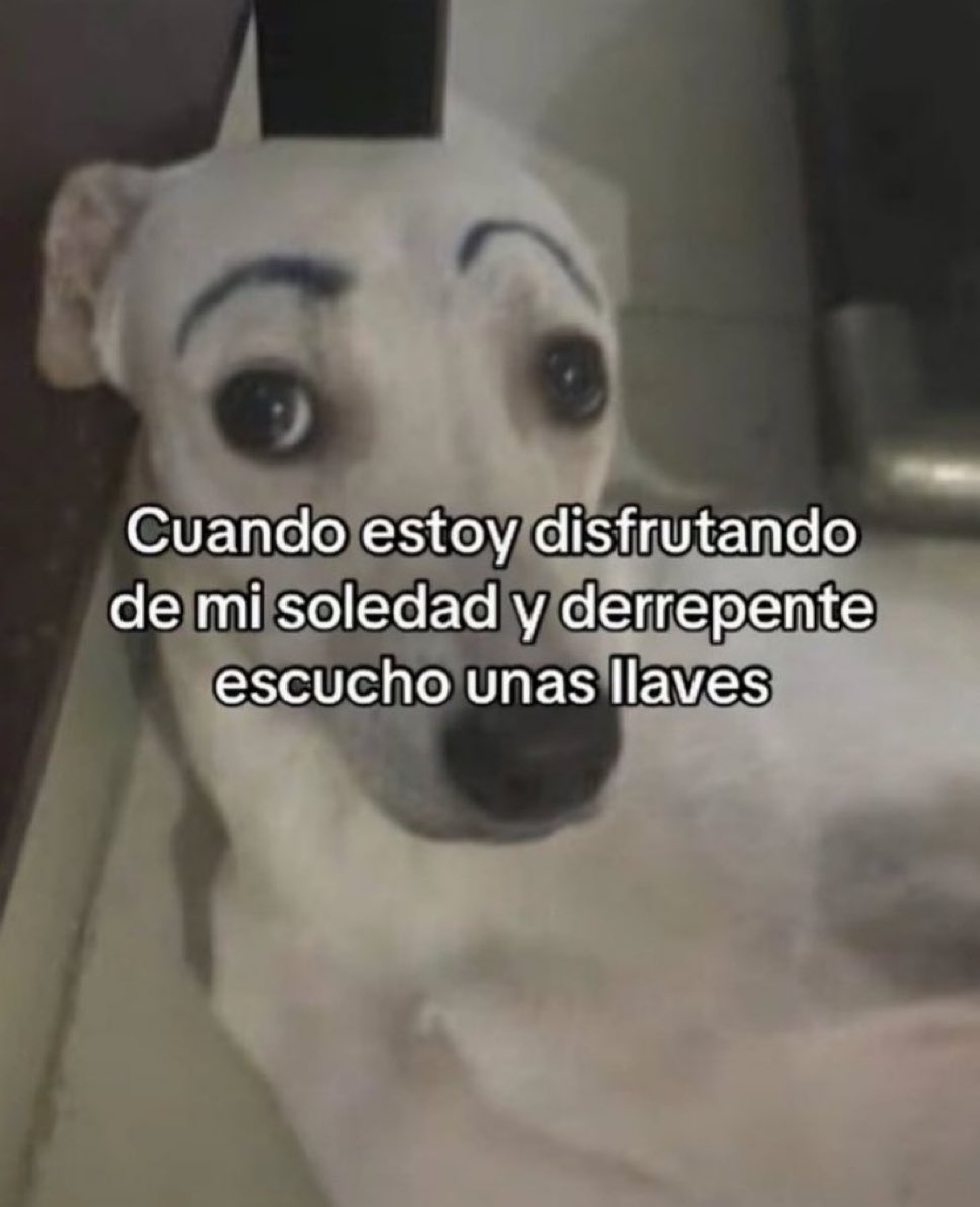 🌙 mini textos tweet media