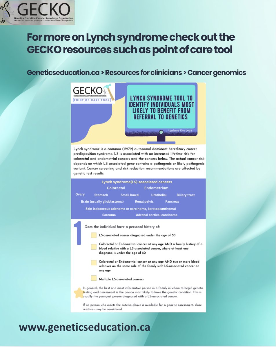 GECKO tweet media