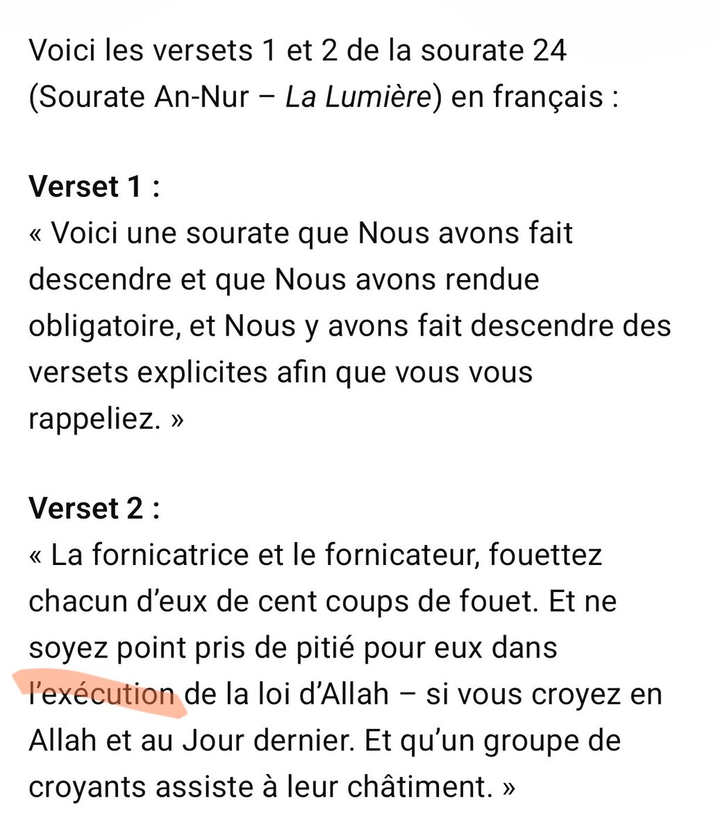 🇫🇷 Zovje 🇩🇿 tweet media