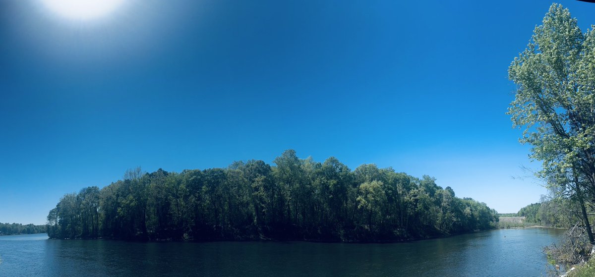 The Tallahassee Patriots tweet media